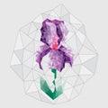 Purple flower in a geometric style on a gray background